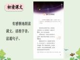 《夜间飞行的秘密》优质课件（第一课时）
