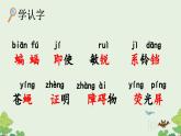 《夜间飞行的秘密》优质课件（第一课时）