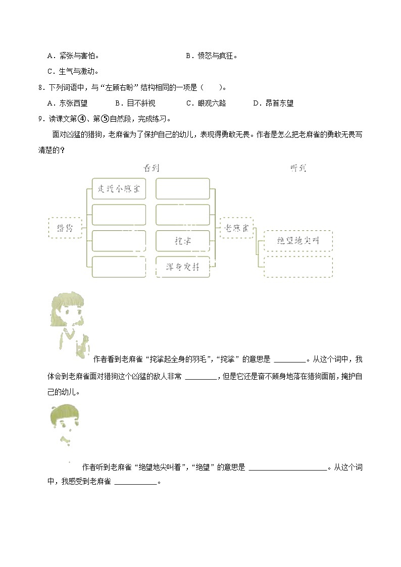 16 麻雀（拔尖练习）2024-2025学年四年级上册语文统编版第2页