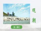 《观潮》 课件（第一课时）