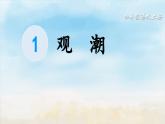 《观潮》精品课件（第一课时）