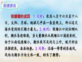 《观潮》精品课件（第一课时）