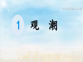 《观潮》精品课件（第二课时）