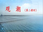 《观潮》名师课件（第二课时）