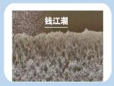 《观潮》新课标课件（第二课时）