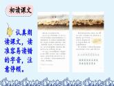 《观潮》优质课件（第一课时）