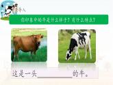 《花牛歌》名师课件