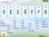 19 只有一个地球 课件  小学语文统编版六年级上册