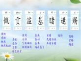 19 只有一个地球 课件  小学语文统编版六年级上册