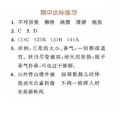 统编版2024五年级语文上册全册【期中复习】考试卷（有答案）01