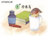 4 珍珠鳥 課件 小學(xué)語文統(tǒng)編版2024五年級上冊