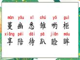 4 珍珠鳥 課件 小學(xué)語文統(tǒng)編版2024五年級上冊
