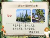 【核心素养】统编版语文二上 识字2《树之歌》课件+教案+音视频素材+课文朗读