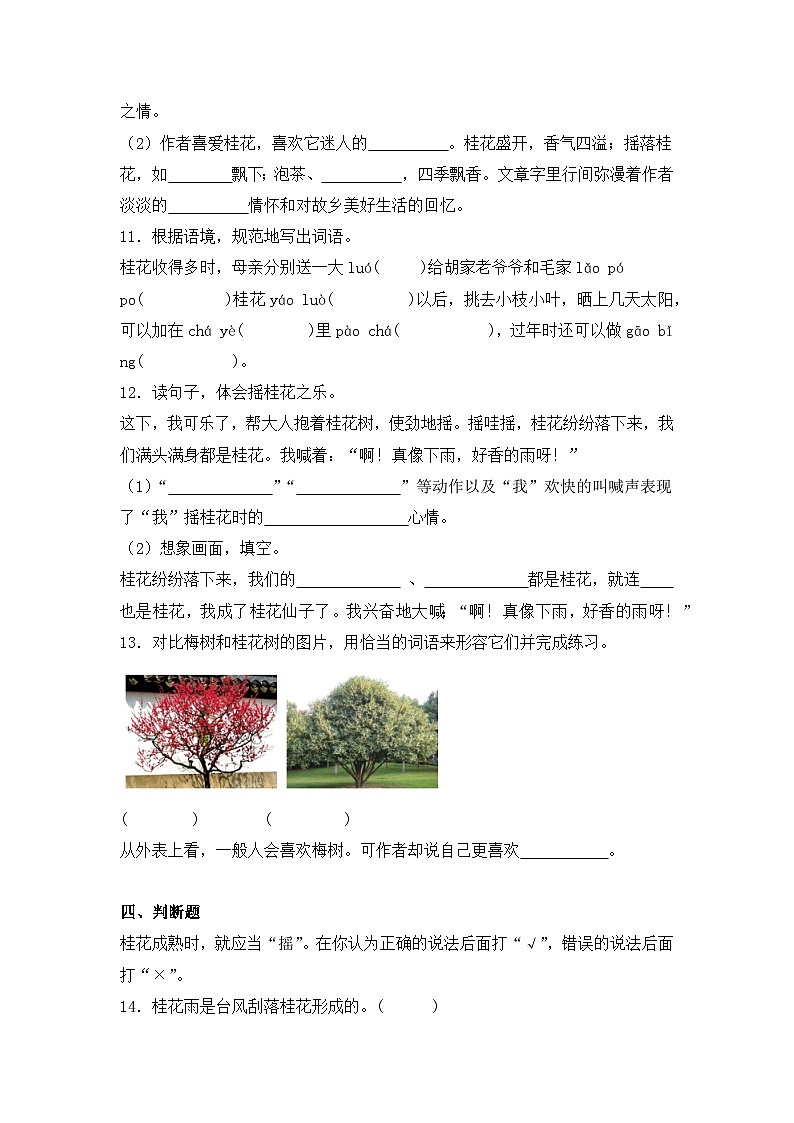 3  桂花雨  同步分层作业-2024-2025学年语文五年级上册（统编版）第3页