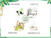 部编版语文二上 1《小蝌蚪找妈妈》课件+教案+音视频素材