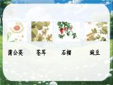 部编版语文二上 3《植物妈妈有办法》课件+教案+音视频素材