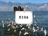 《走月亮》新课标课件（第一课时）