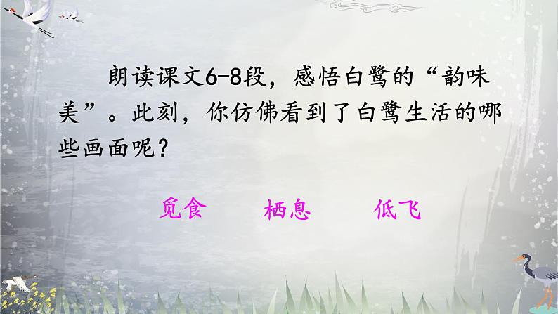 《白鹭》教学课件1（第二课时）第2页