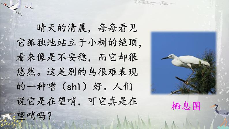 《白鹭》教学课件1（第二课时）第4页