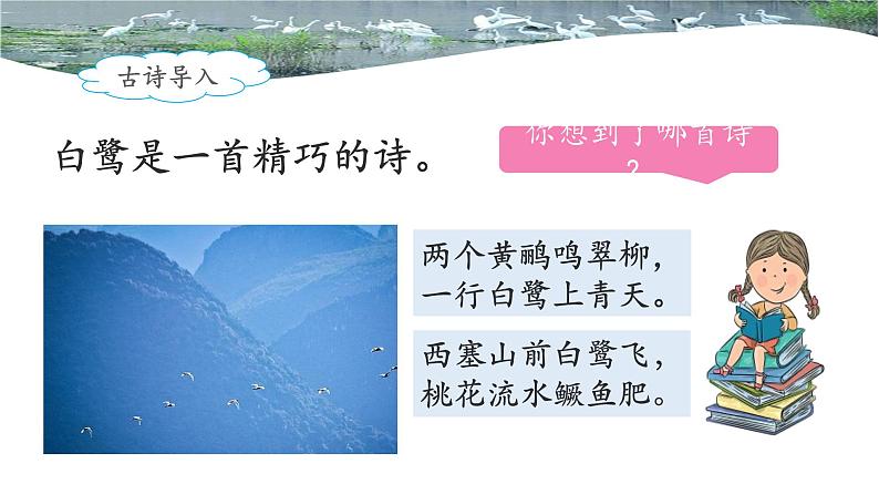 《白鹭》名师课件03