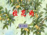 《桂花雨》 课件（第二课时）