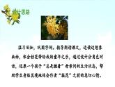 《桂花雨》 课件（第二课时）