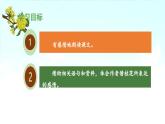 《桂花雨》 课件（第二课时）