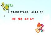 《桂花雨》 课件（第二课时）