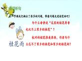 《桂花雨》 课件（第二课时）