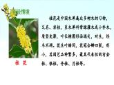 《桂花雨》 课件（第一课时）