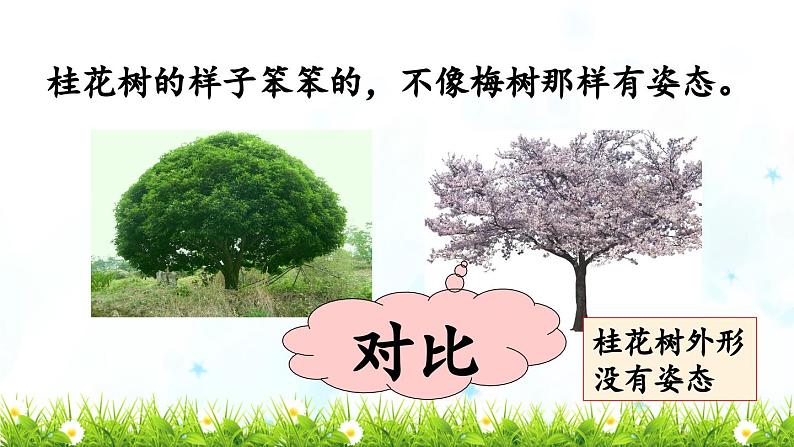 《桂花雨》教学课件（第二课时）第6页