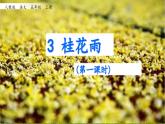 《桂花雨》教学课件（第一课时）