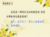 《桂花雨》教学课件1（第二课时）