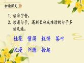 《桂花雨》教学课件1（第一课时）