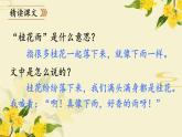 《桂花雨》教学课件1（第一课时）