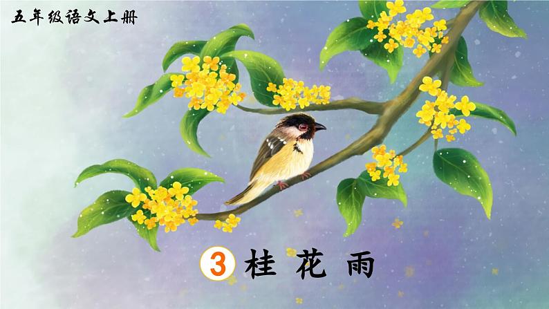 《桂花雨》精品课件（第二课时）第1页