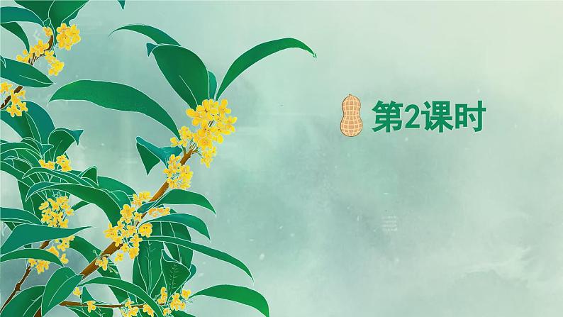 《桂花雨》精品课件（第二课时）第2页