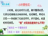 《桂花雨》精品课件（第二课时）