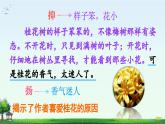 《桂花雨》精品课件（第二课时）