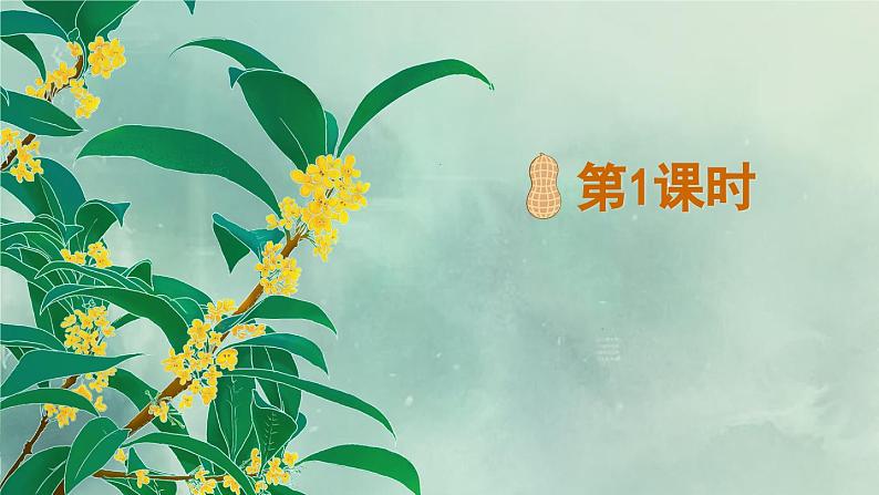 《桂花雨》精品课件（第一课时）01