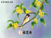 《桂花雨》精品课件（第一课时）