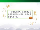 《桂花雨》精选课件（第二课时）