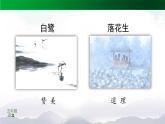 《桂花雨》精选课件（第一课时）