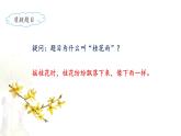 《桂花雨》名师课件（第一课时）