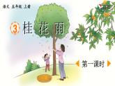 《桂花雨》优质课件（第一课时）