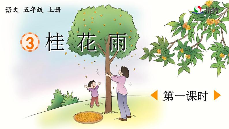 《桂花雨》优质课件（第一课时）第1页