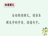 《桂花雨》优质课件（第一课时）