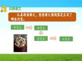 《落花生》 课件（第二课时）