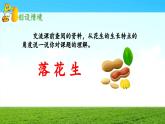 《落花生》 课件（第一课时）