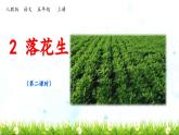 《落花生》教学课件2（第二课时）